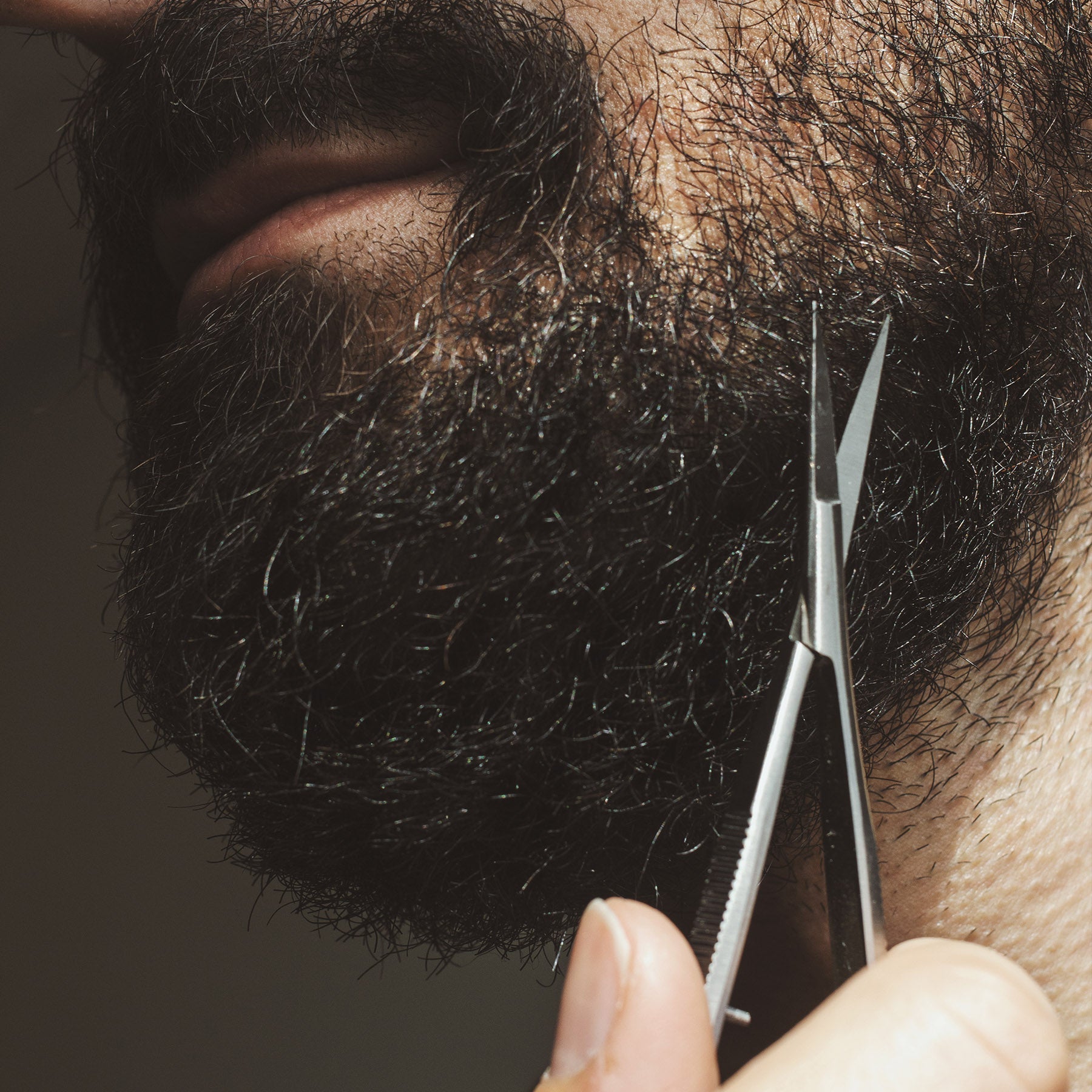 Essential Brow & Beard Kit